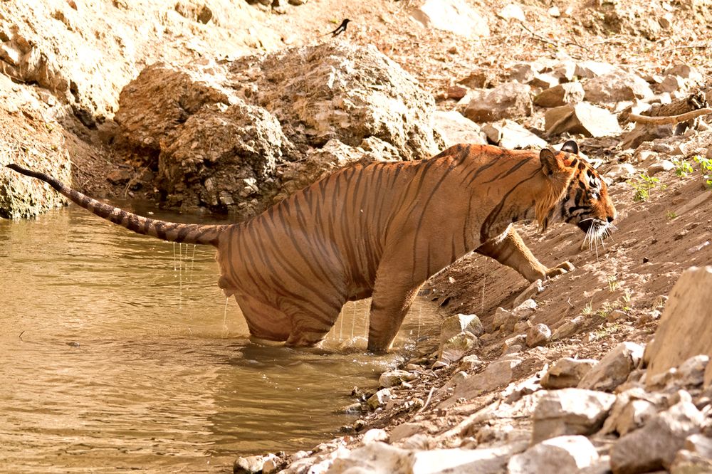 Photograph by vraj mistry