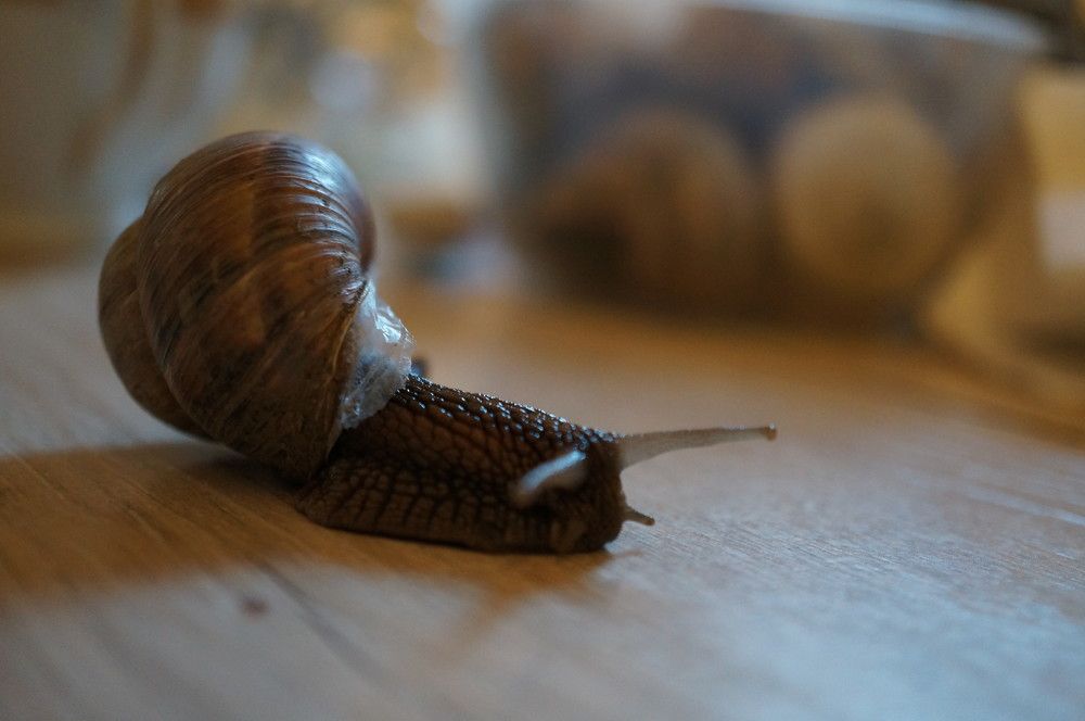 Photograph by Надежда Яковлева