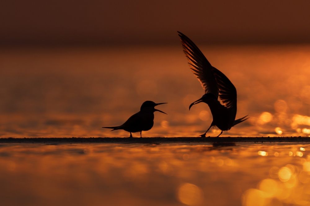 Photograph by Prince Paul Joy