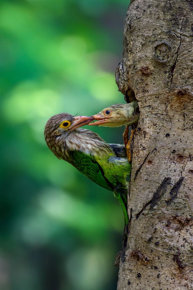 Photograph by Prince Paul Joy