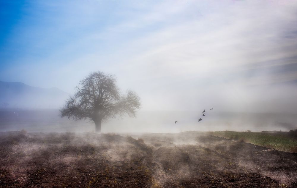 Photograph by Mehdi Zavvar