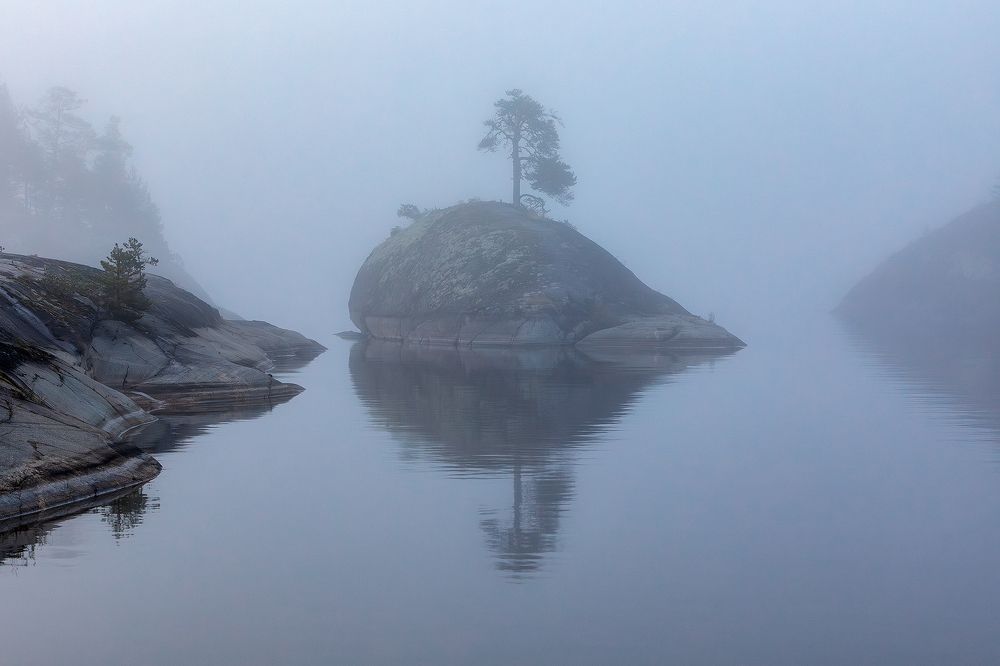 Photograph by Александр Пашеничев