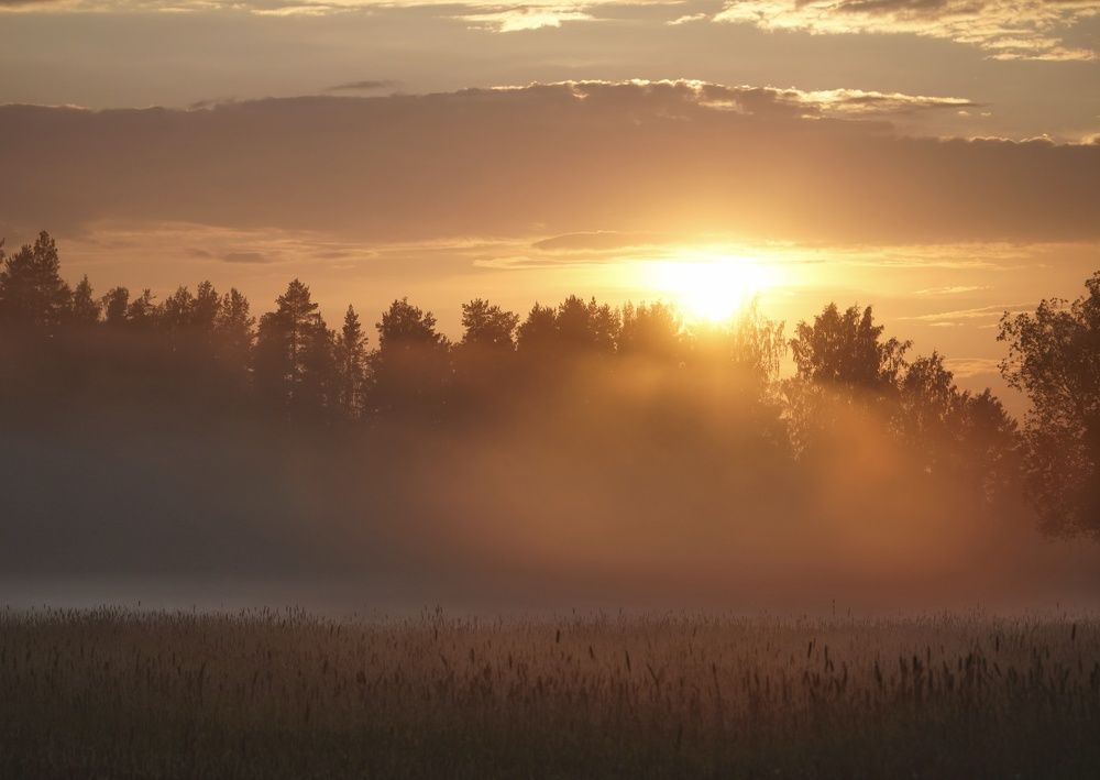 Photograph by Марина Безенкина