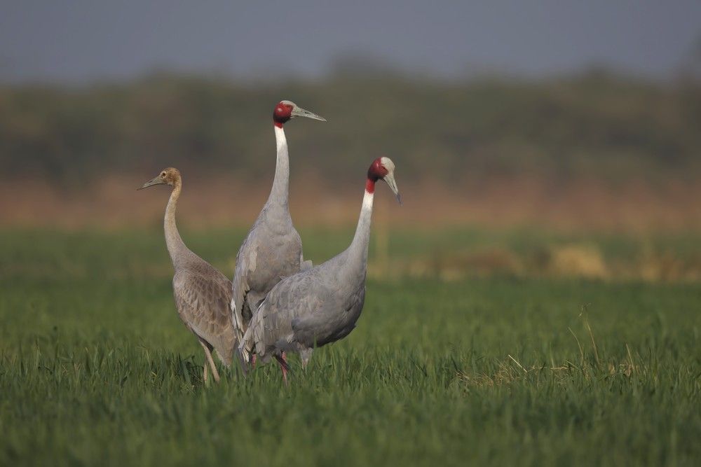 Photograph by John Robert