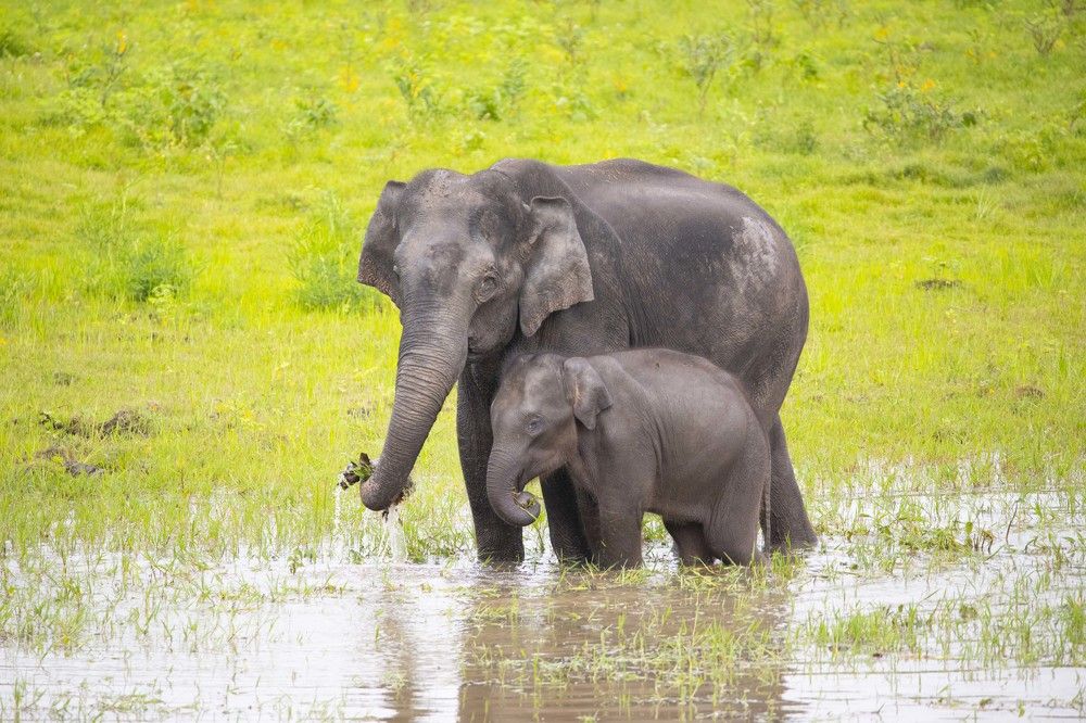 Photograph by John Robert