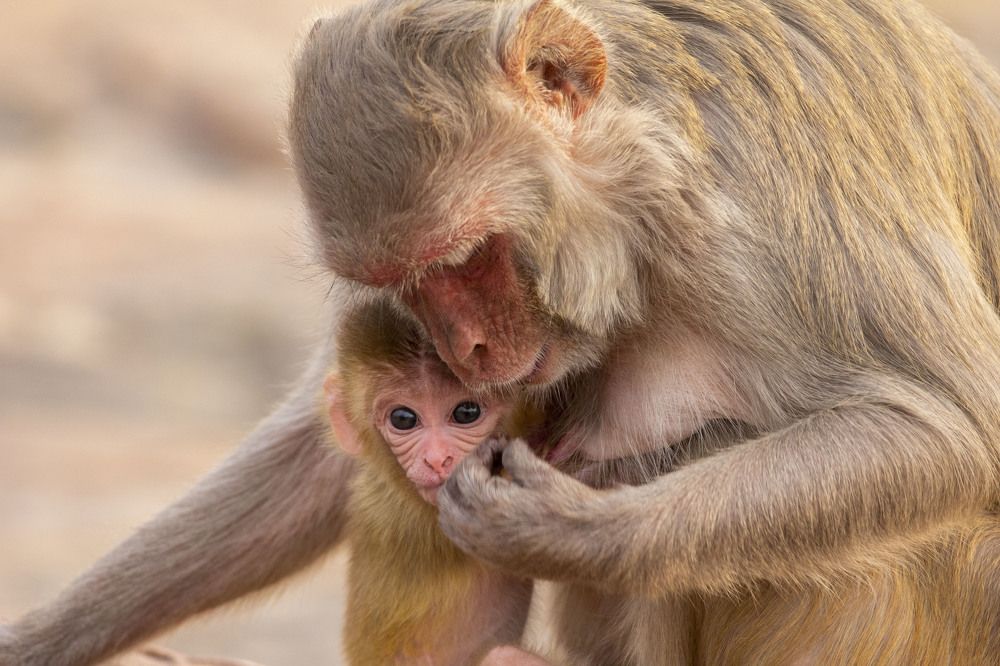 Photograph by John Robert