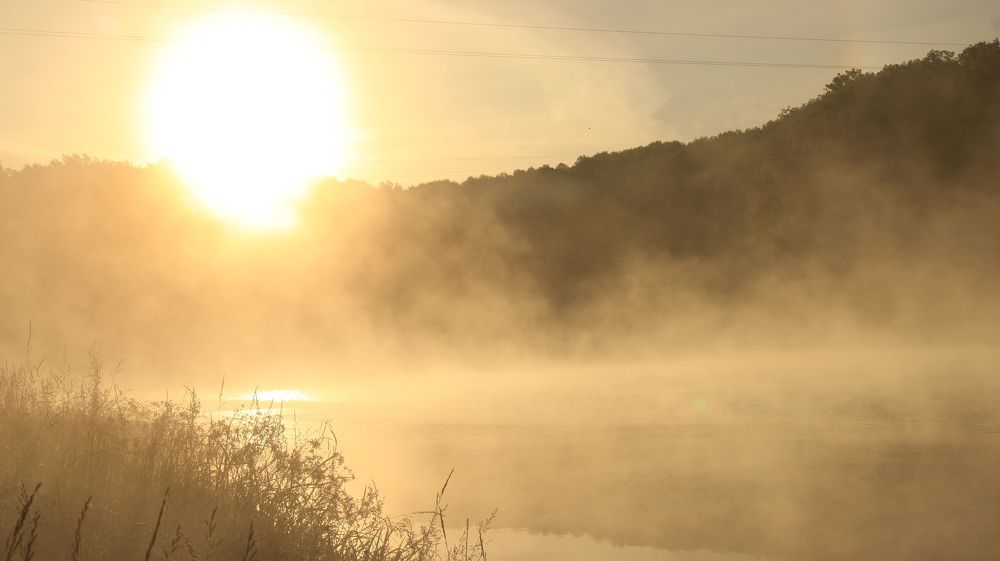 Photograph by Владимир Ясюкевич