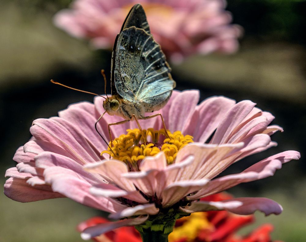 Photograph by Сергей Нестеров