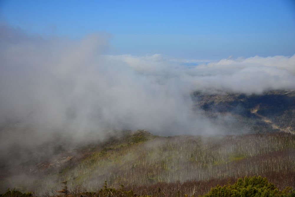 Photograph by Дмитрий Юдин