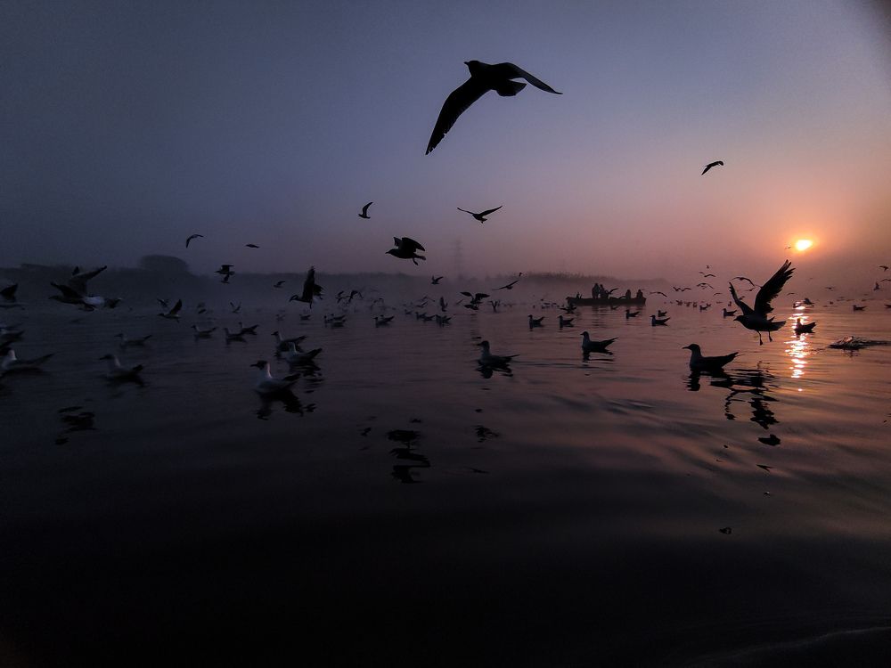 Photograph by HARSHIT MISHRA