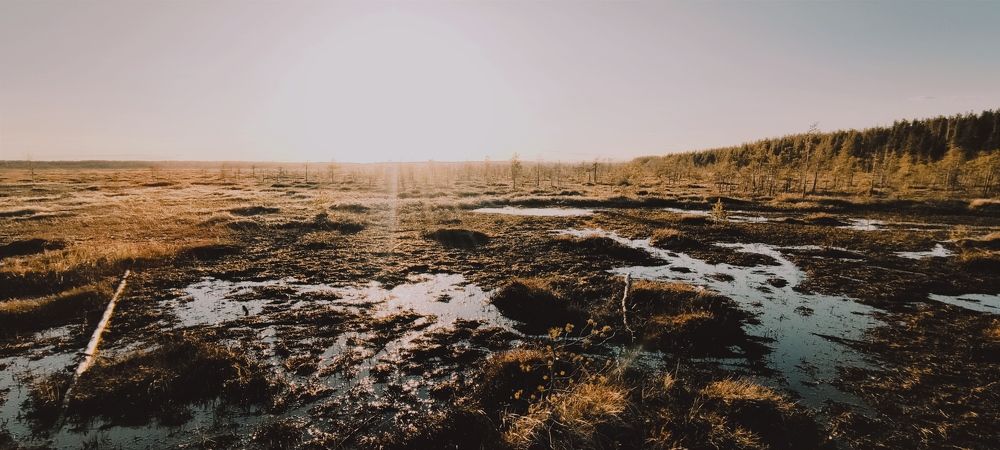 Фотография автора Ekaterina Sapezhinskaya