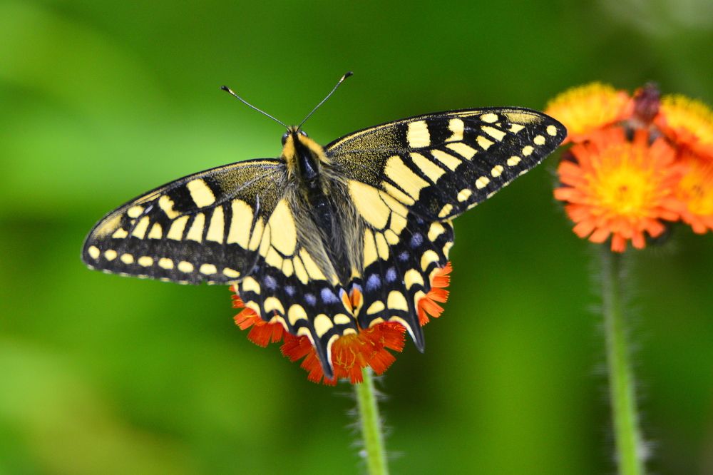 Photograph by Дмитрий Юдин