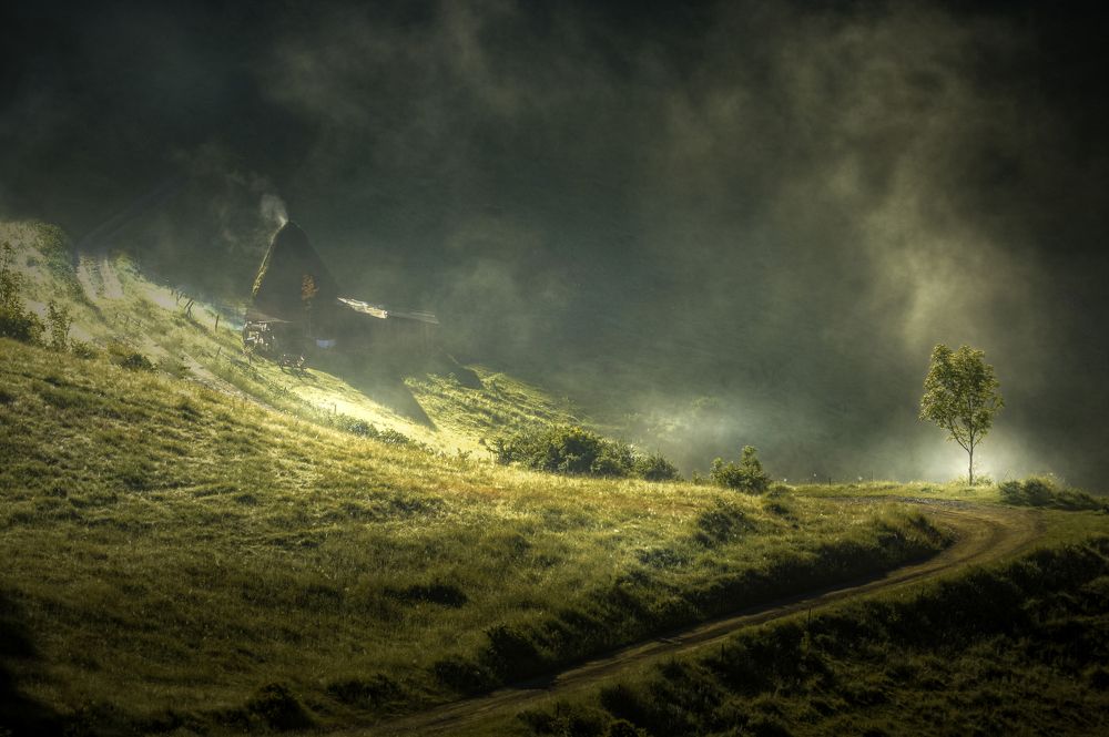 Photograph by Constantin Lazar