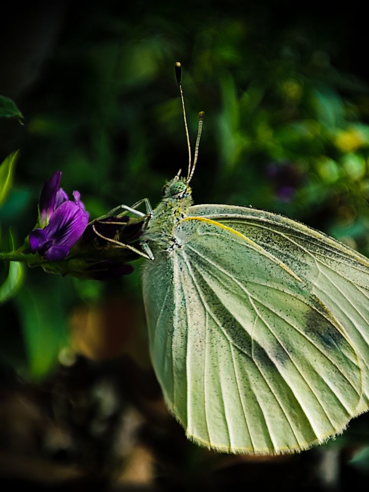 Photograph by mahdi roozbahani