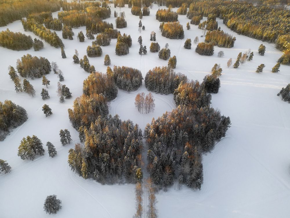 Фотография автора Александр Пашеничев