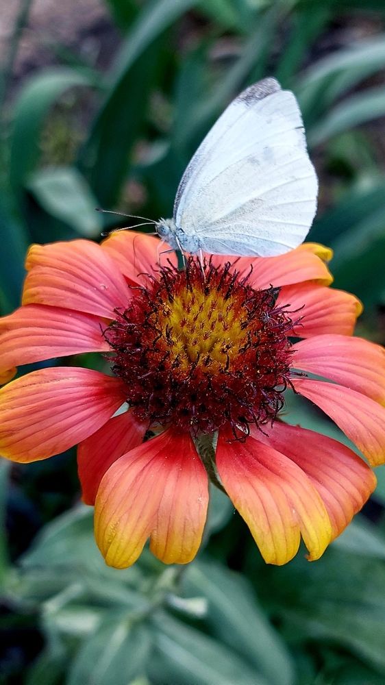 Photograph by Нина Паршина