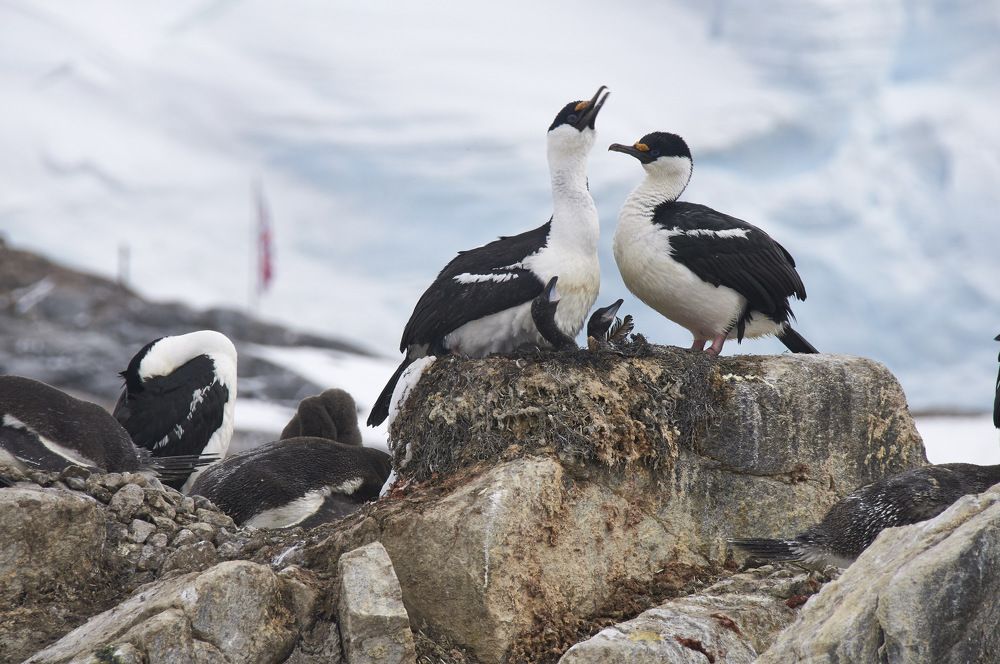 Photograph by Babka Yoshka (в миру - Сергей)