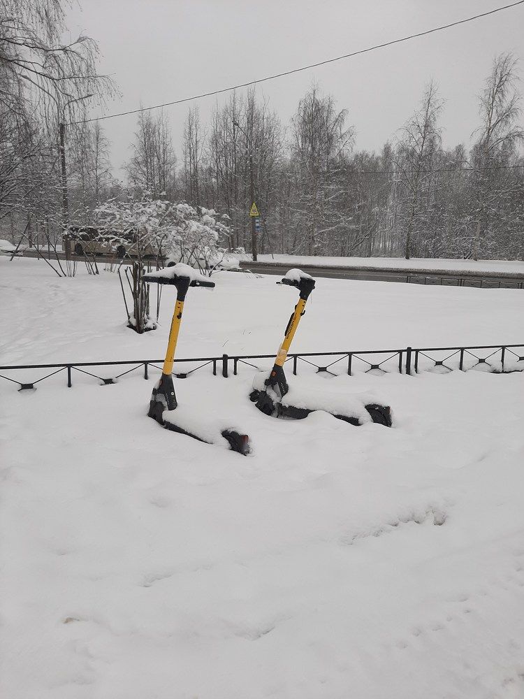 Фотография автора Светлана Дунаева