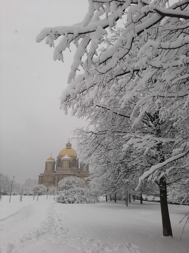 Фотография автора Светлана Дунаева