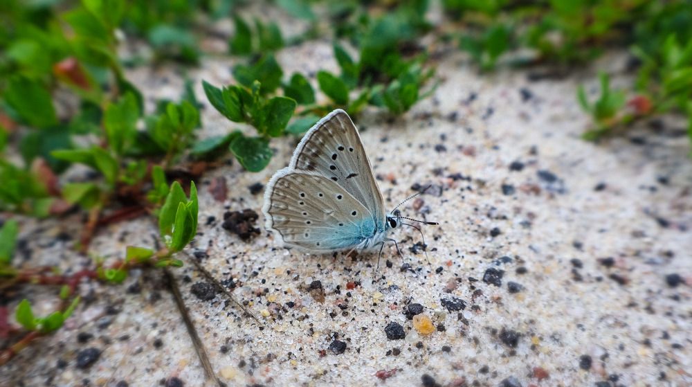 Photograph by Ольга Попченко