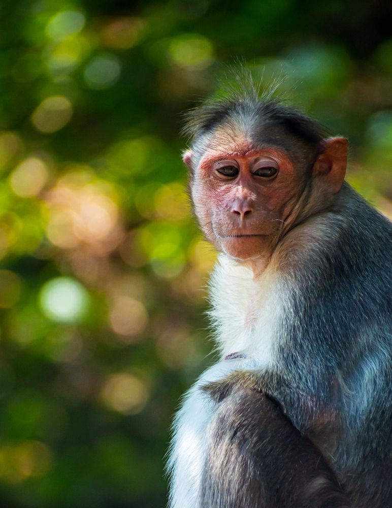 Photograph by Rehana Alpha