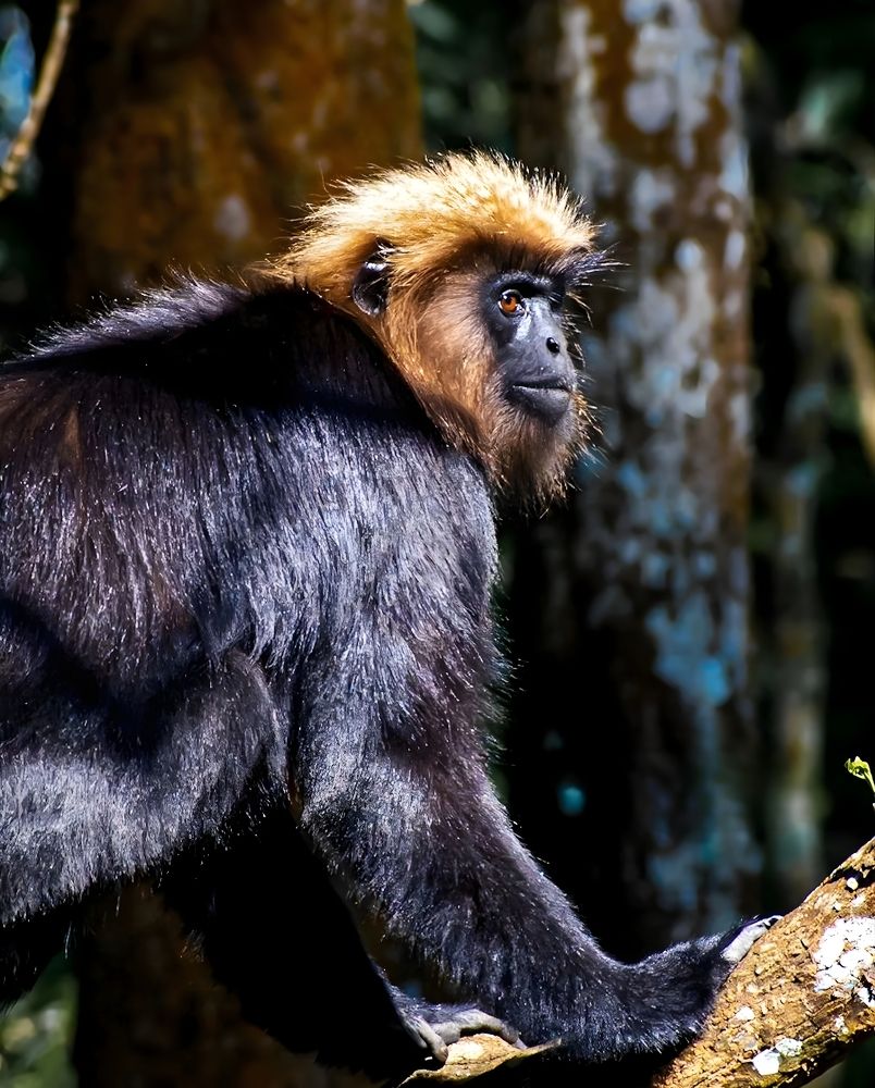 Photograph by Rehana Alpha