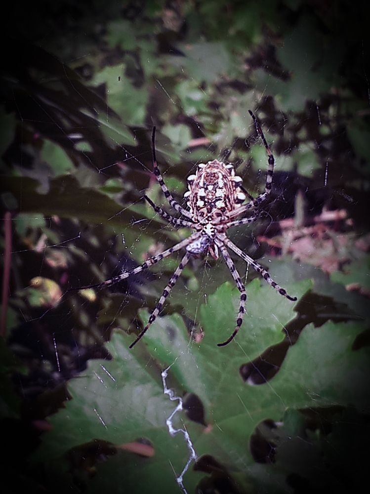 Photograph by mahdi roozbahani