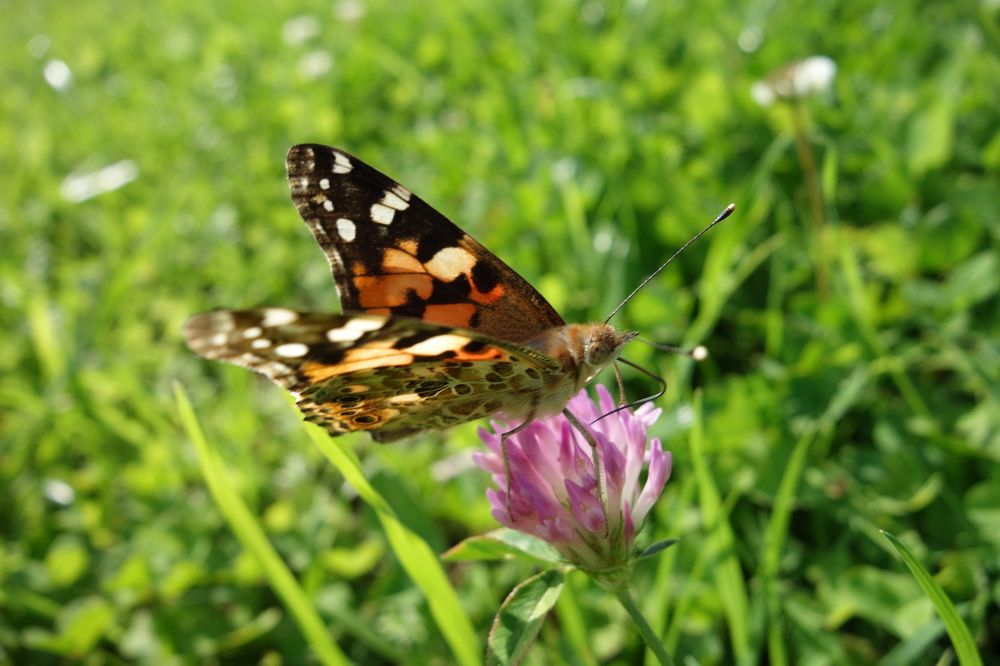 Photograph by Дарья Гришина