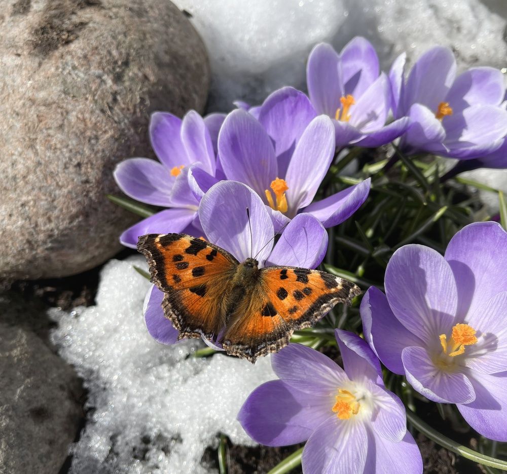 Photograph by Елена Павлова