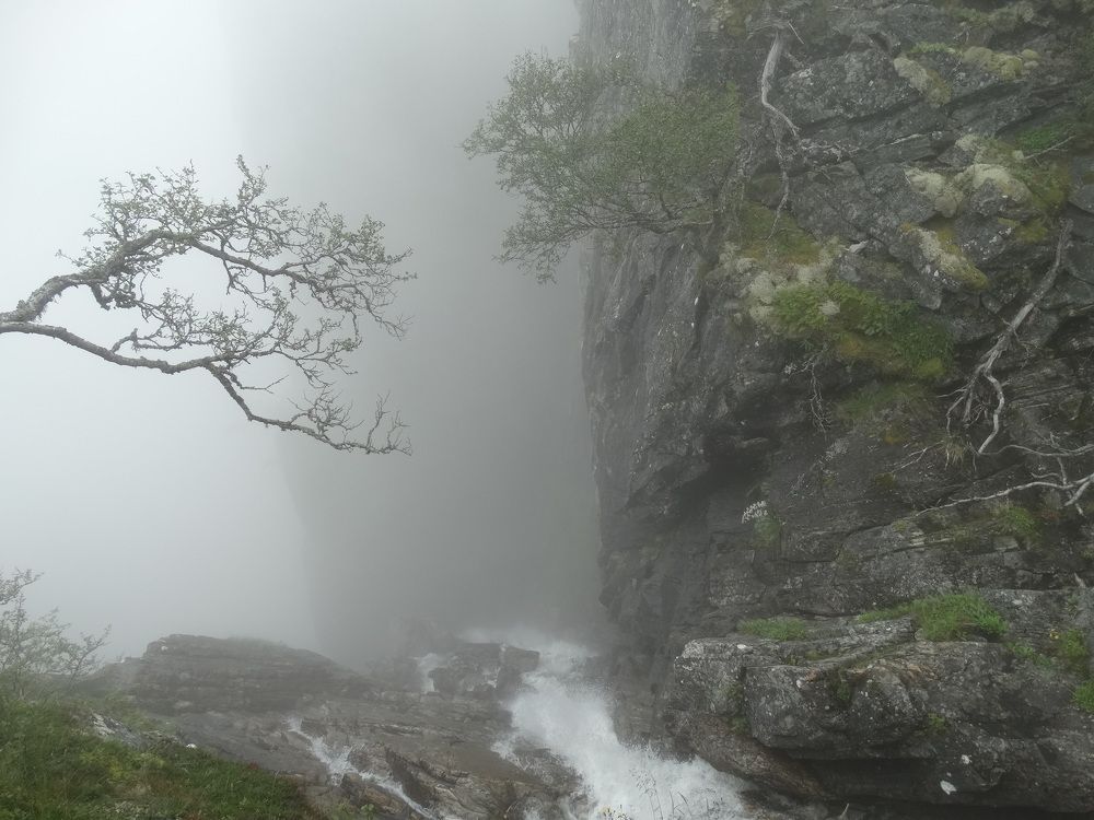 Photograph by Мила Милая