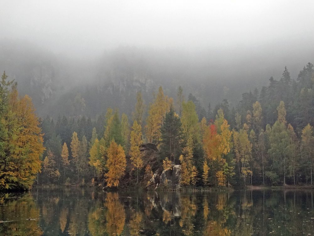 Photograph by Мила Милая