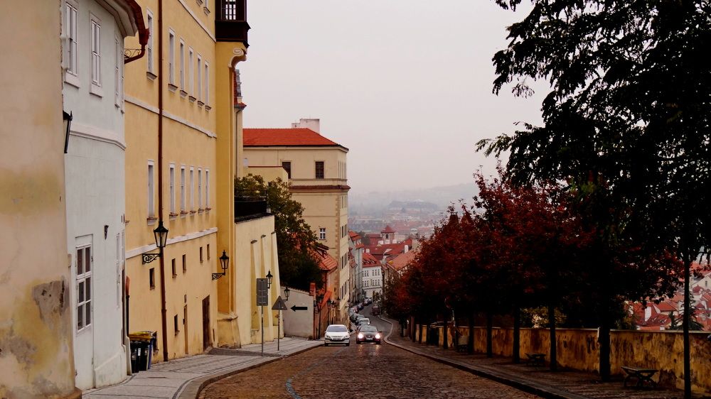 Photo #9330128