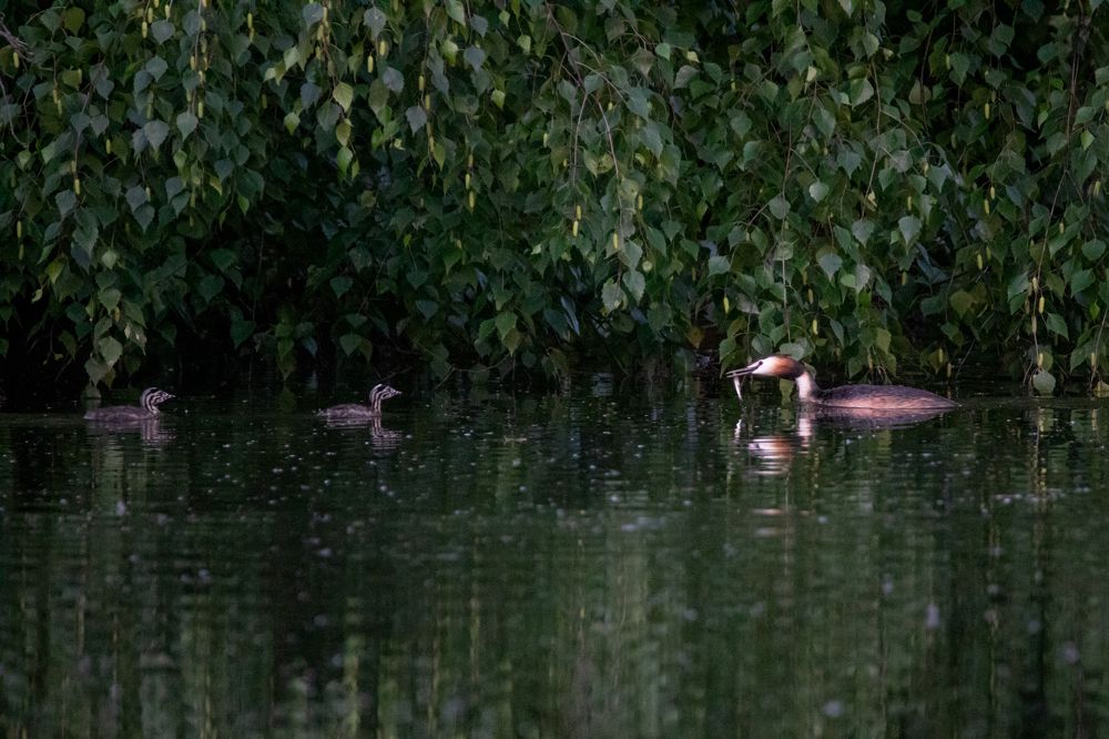 Photograph by Марина