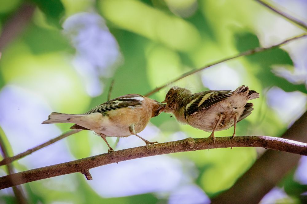 Photograph by Марина