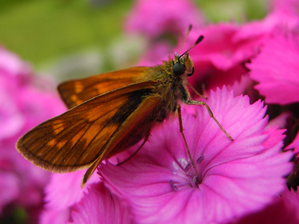 Photograph by Андрей Головин