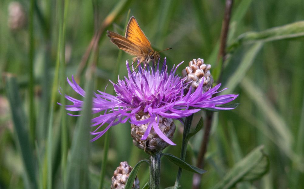 Фотография автора Геннадий Коробов