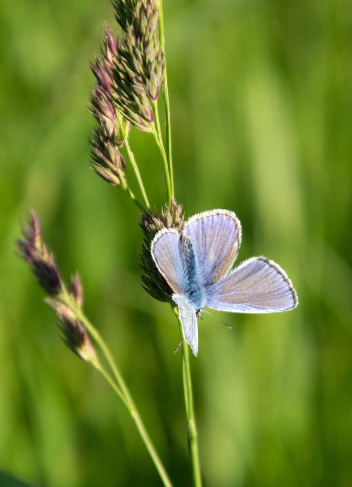 Фотография автора Геннадий Коробов