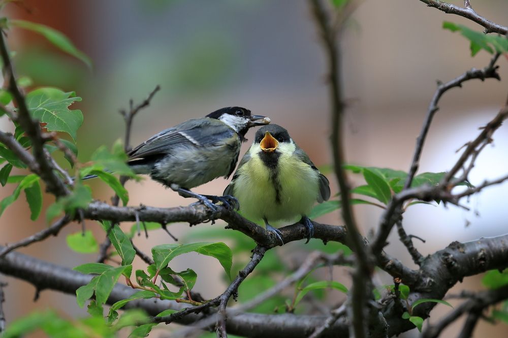 Photograph by Смирнов Александр
