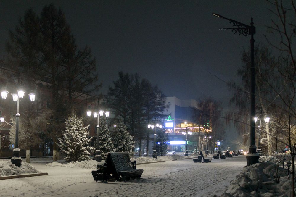 Зимняя аллея.