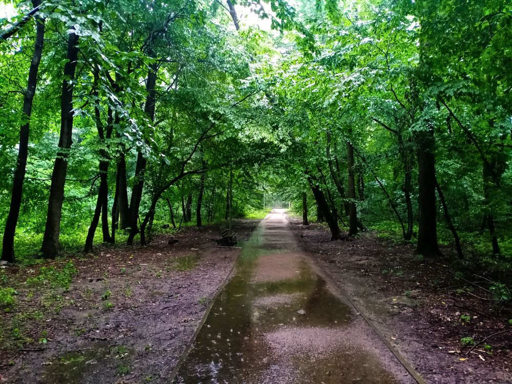 Photograph by Евгений Каримов