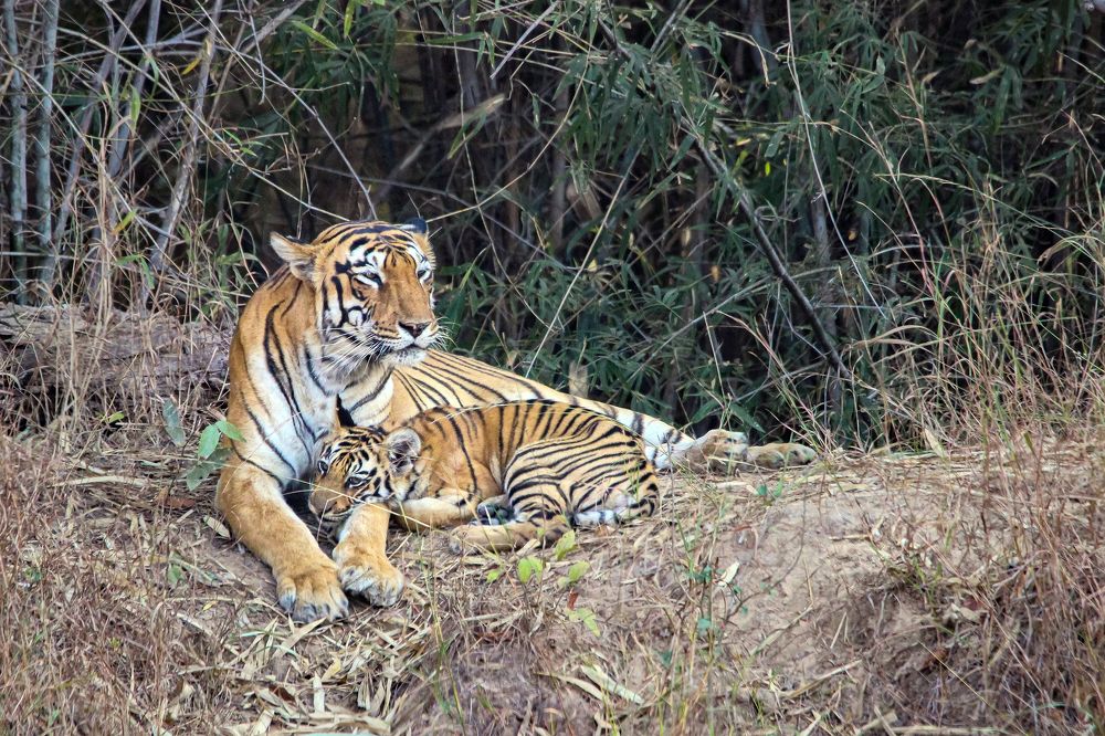 Mum and child bonding