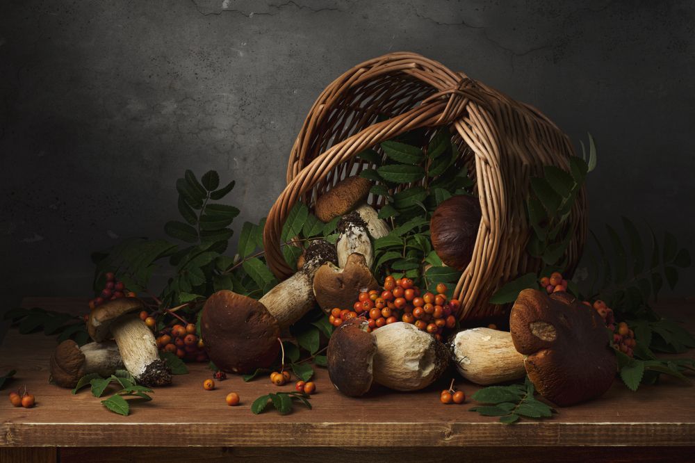 Photograph by Максим Вышарь