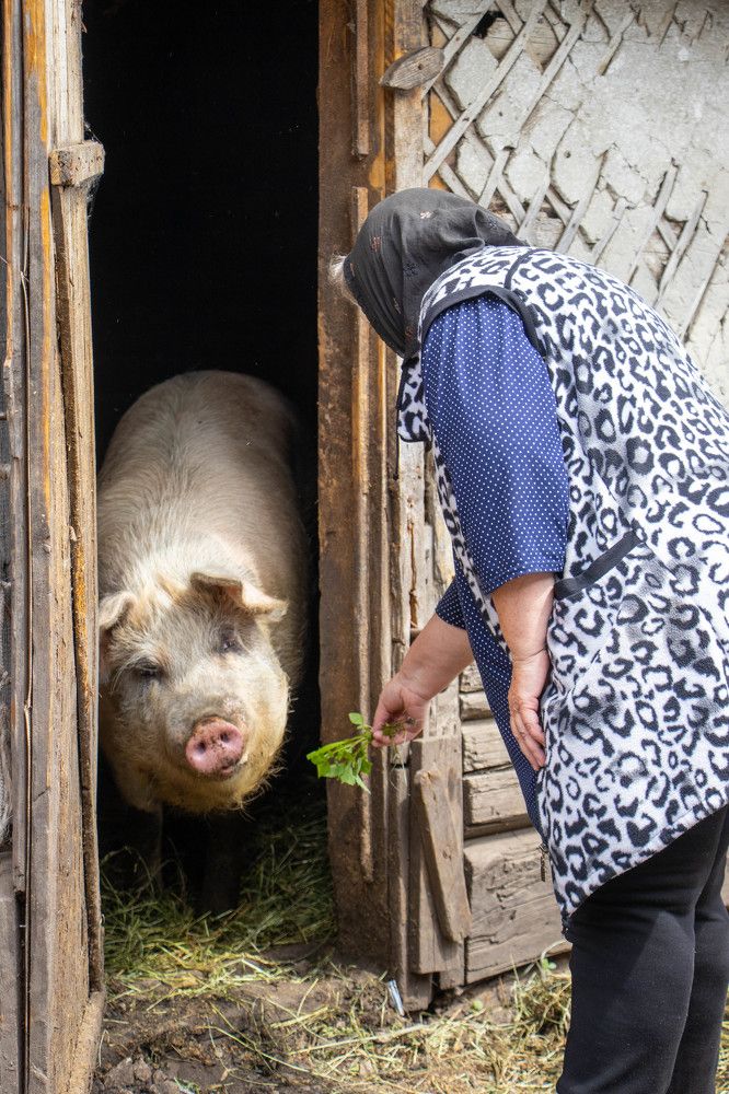 Photograph by Ксения Щукина