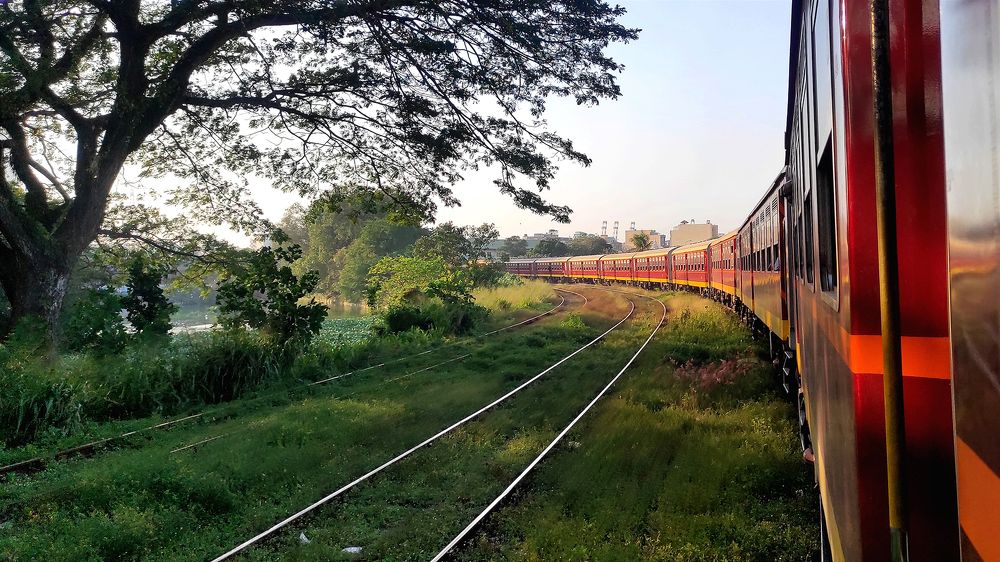 Photograph by Chamara Sulakkhana Polwatta Siriyalage