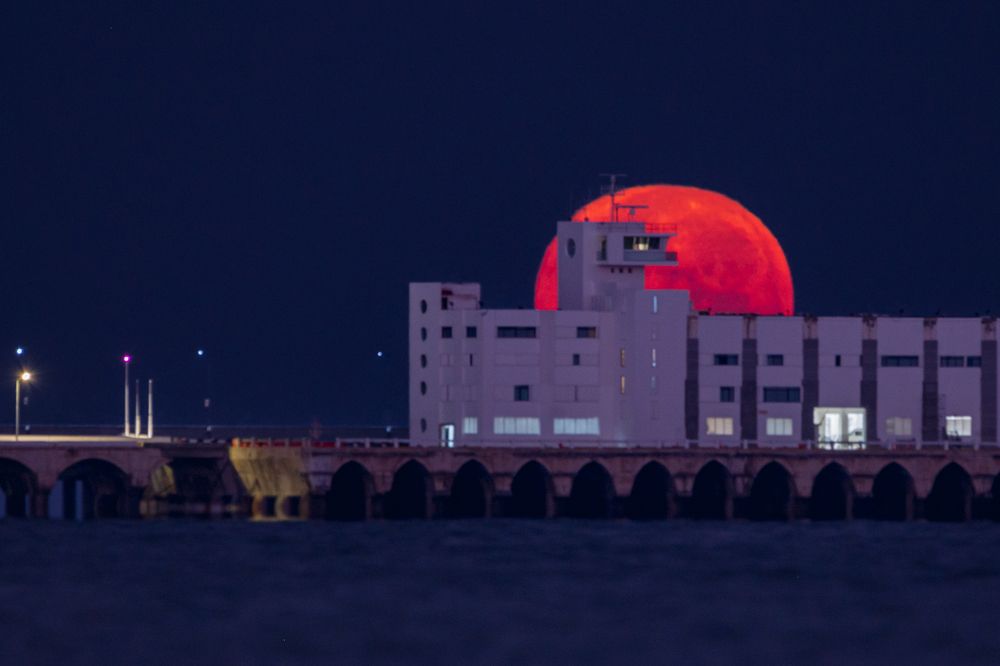 Photograph by Miguel Diaz