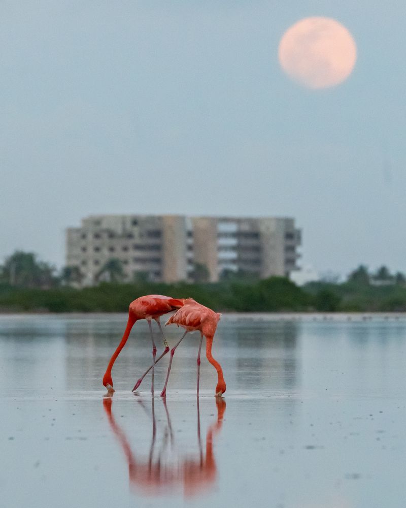 Photograph by Miguel Diaz