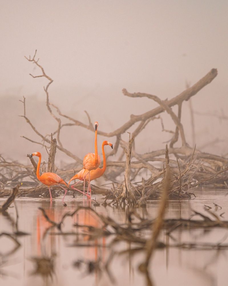 Photograph by Miguel Diaz