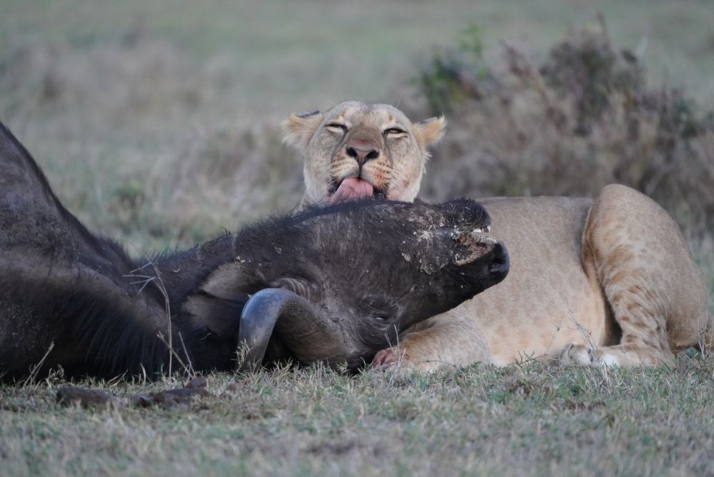 Photograph by Sandra Peña