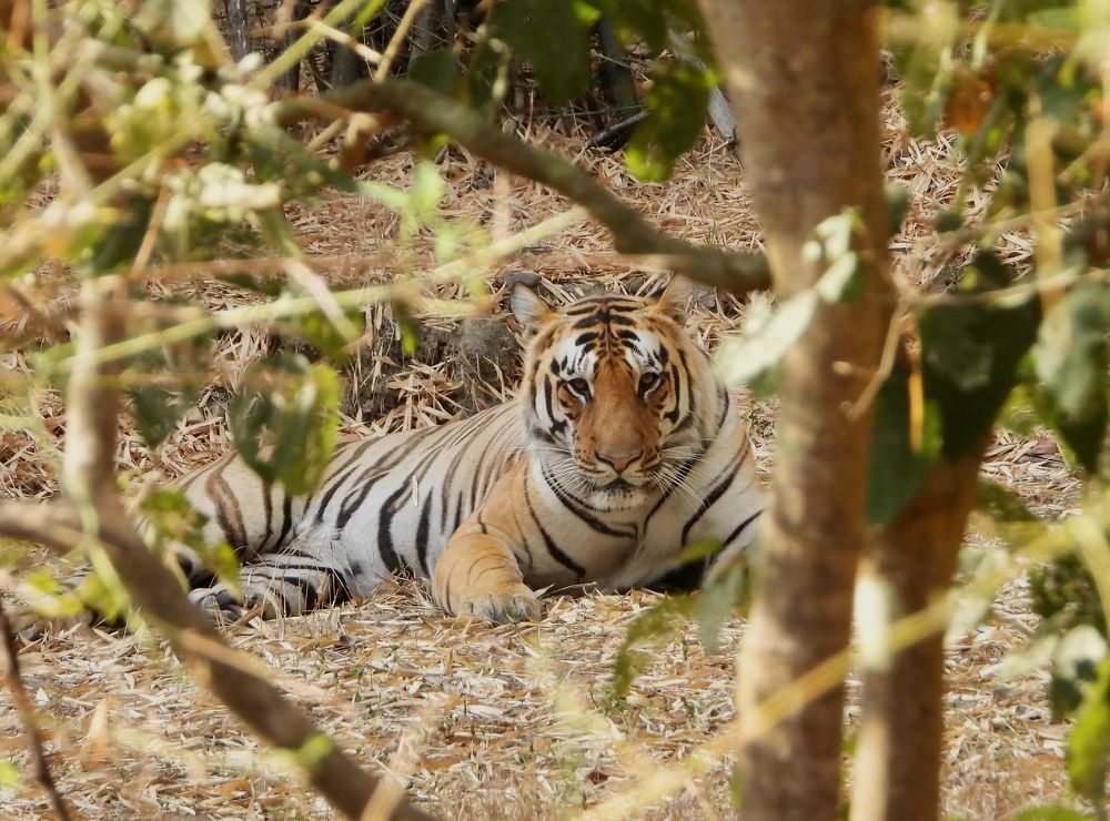 Photograph by Sandra Peña