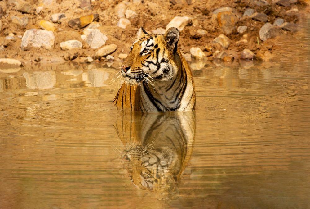 Photograph by Santosh Shirgaokar